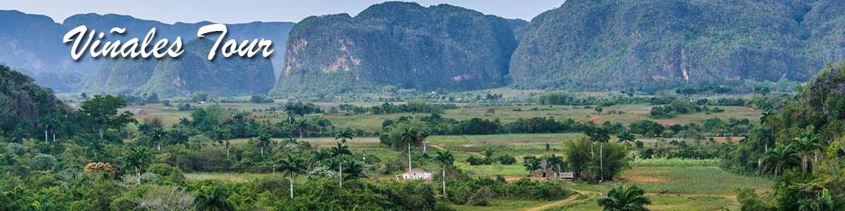 Tour Tropicana en la Habana Cuba